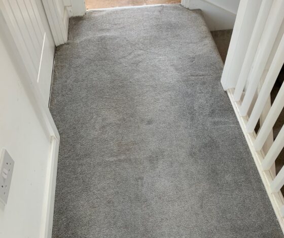 Carpet after cleaning