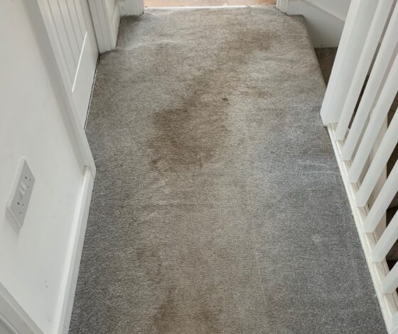 Carpet before cleaning