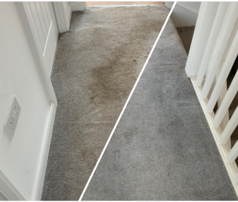 Carpet before and after cleaning